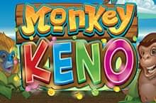 Играть онлайн в Monkey Keno бесплатно